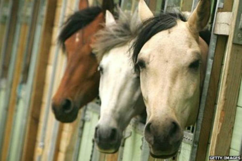 77 Bin At, 20 Bin Evi Isıtacak