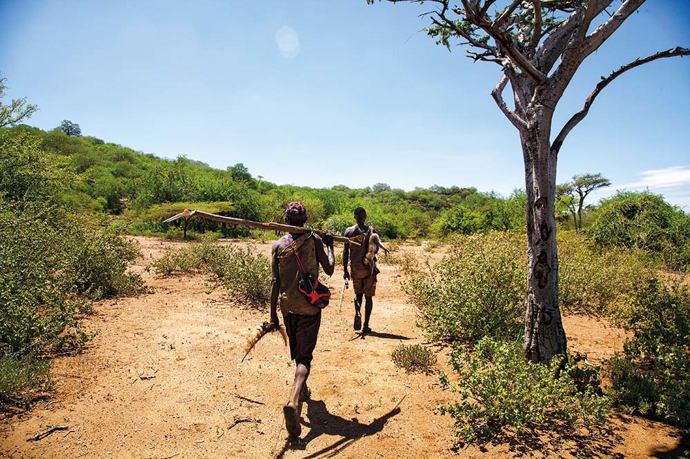 Afrika’dan Çıkış