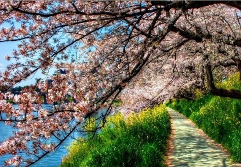 Ah Küçük, Güzel Cemre...