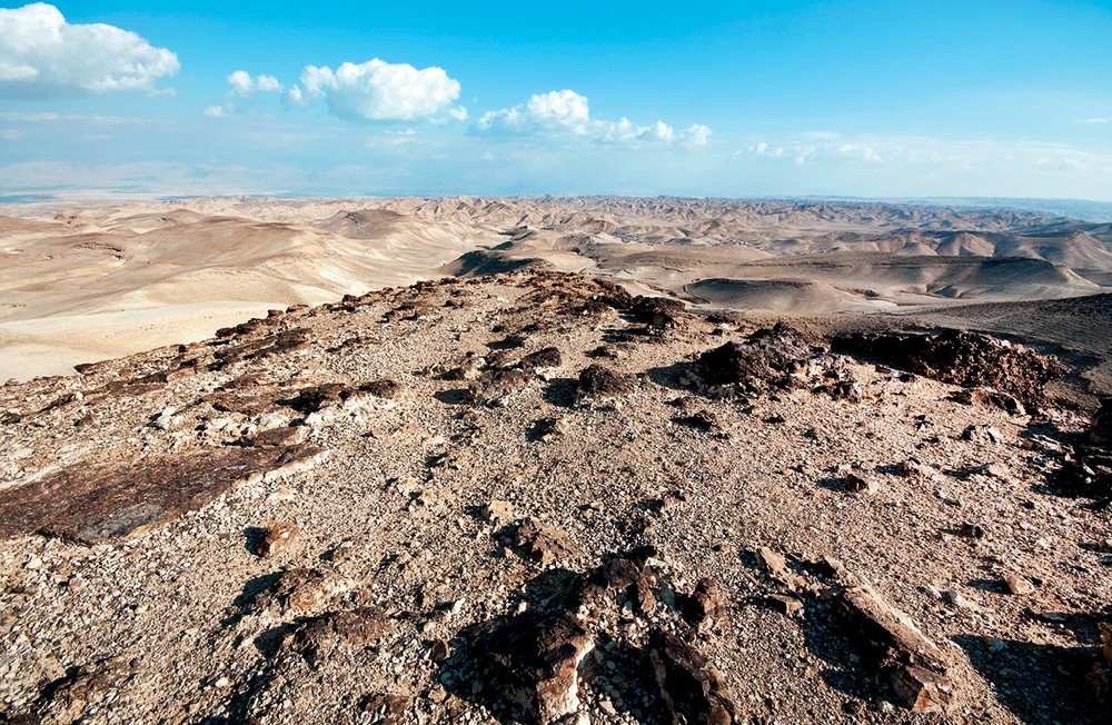 Akdeniz’in Yazgısı
