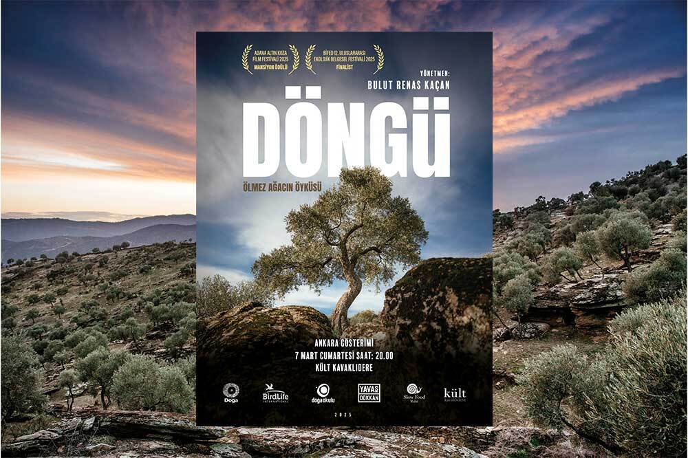 Altın Koza Ödüllü 