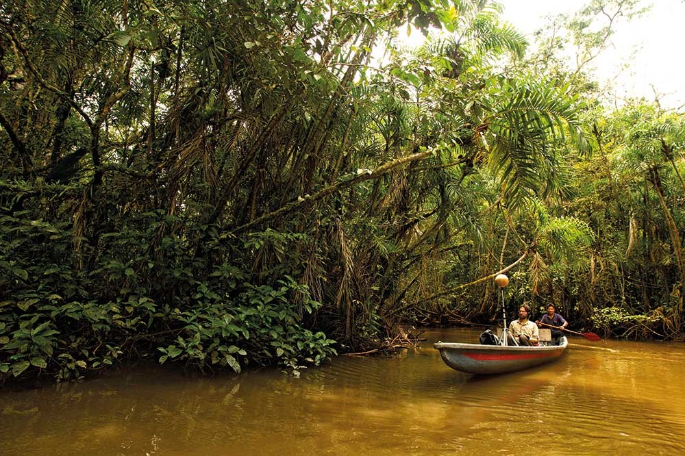 Amazon’un Saf Sesi