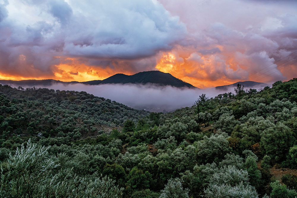 Anadolu: Doğanın 20 Yılı