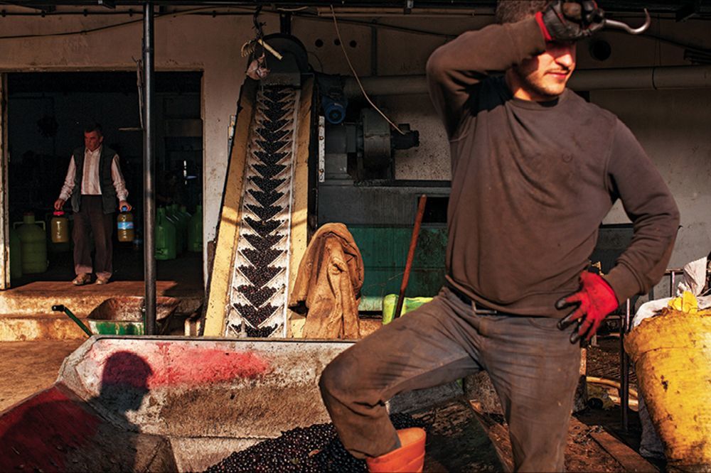 Anadolu'nun Son Taş Baskı Zeytinyağı İşlikleri