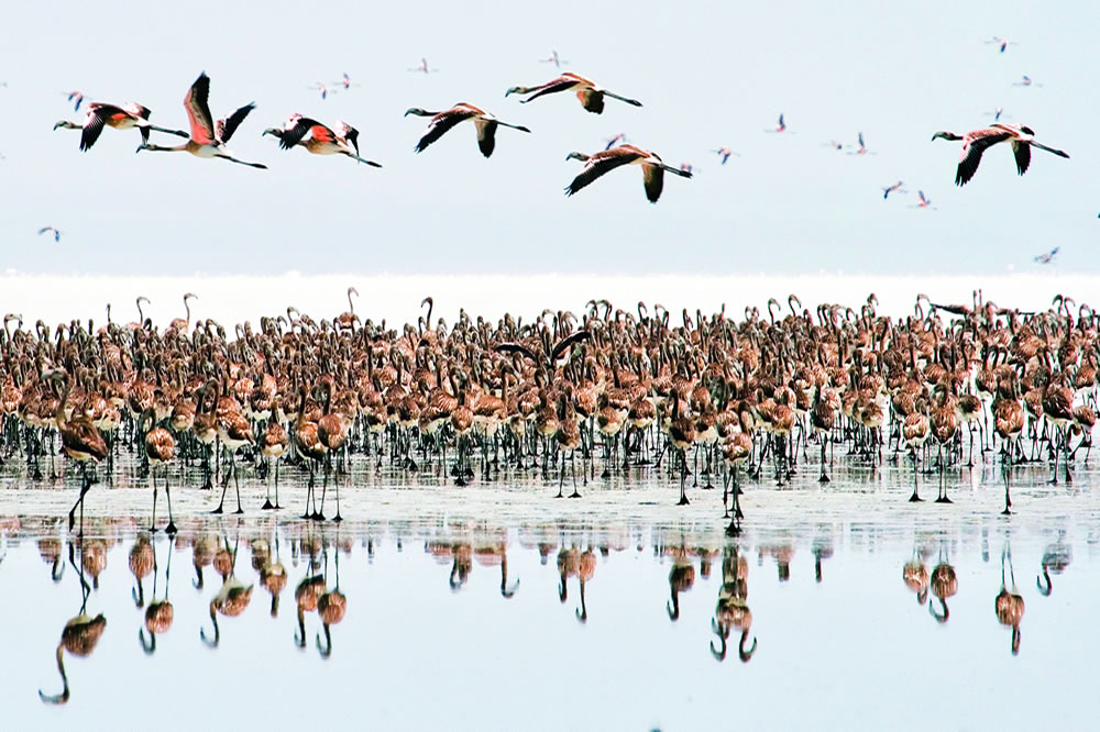Anadolu'ya Ağıt Cüneyt Oğuztüzün