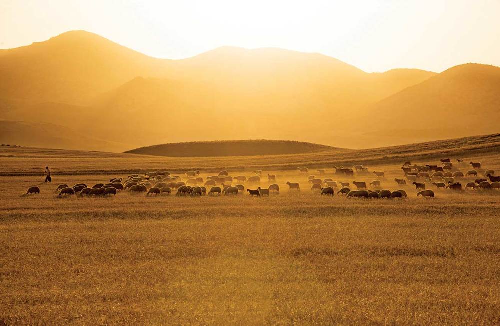 Arguvan, Doğanın Yazısı