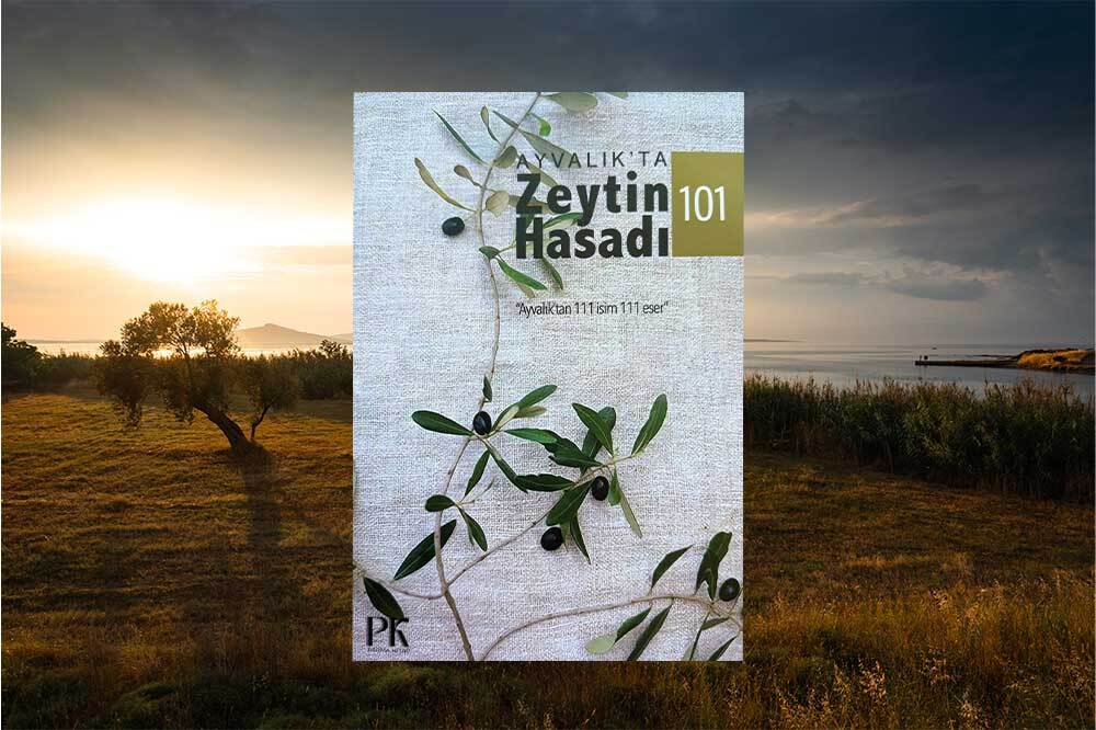Ayvalık’ın Kolektif Hafızası: Zeytin Hasadı 101