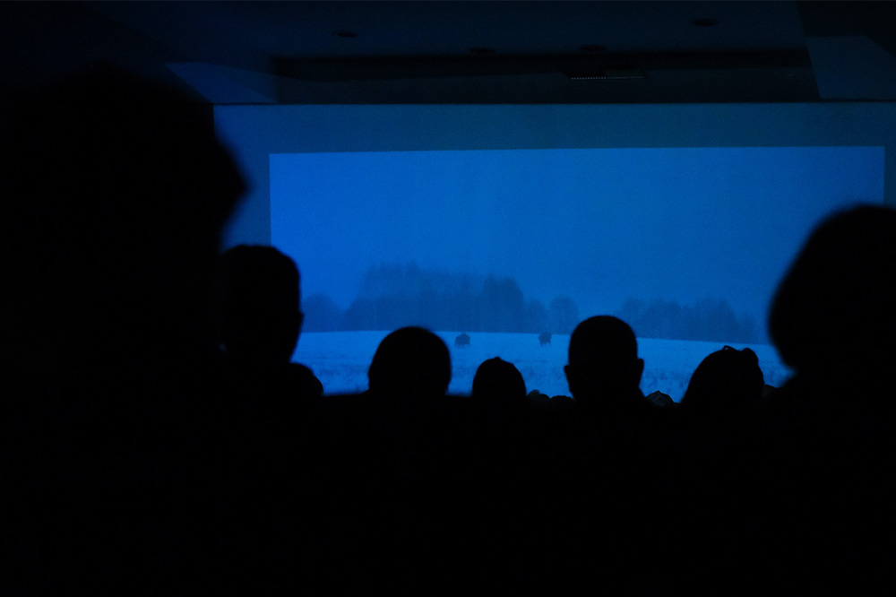 BIFED 2026 Başvuruları Başladı