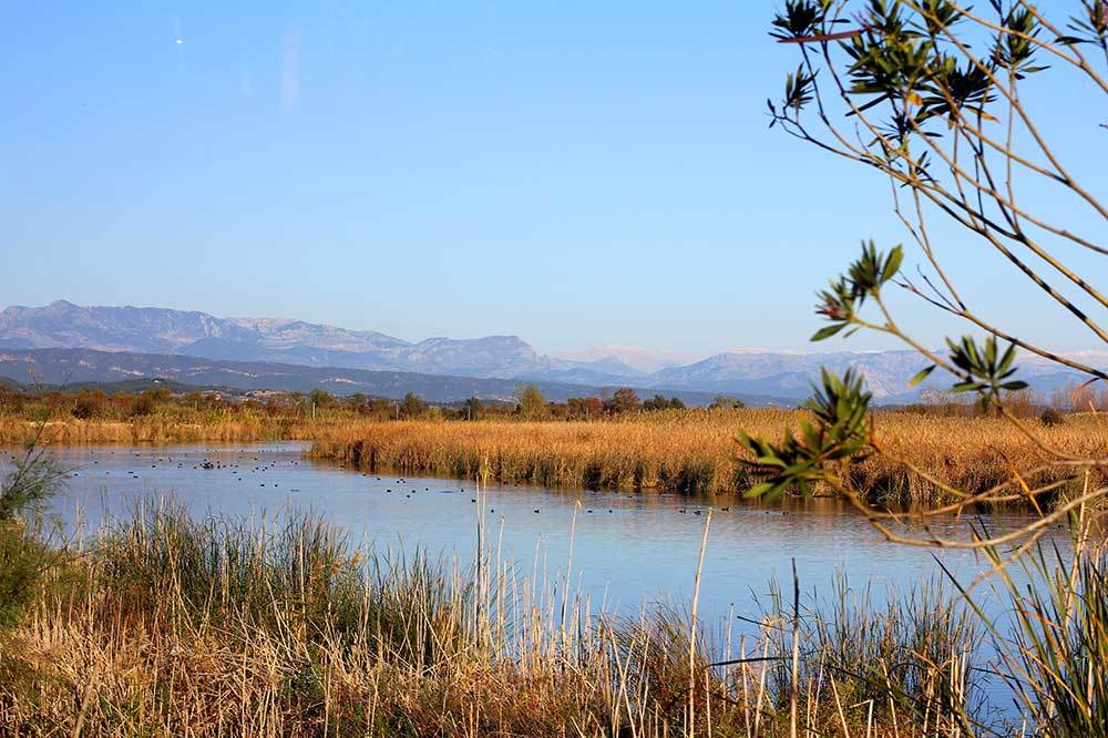 Boğazkent Tanrısı Eurymedon