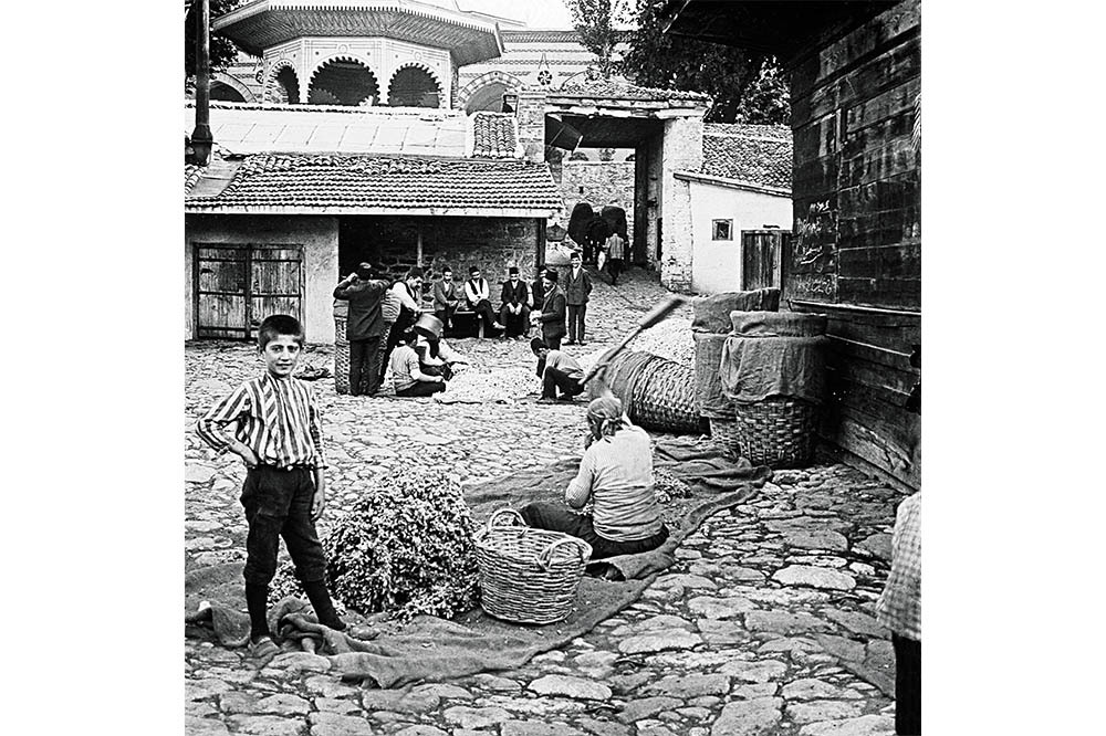 Bursa İpeği