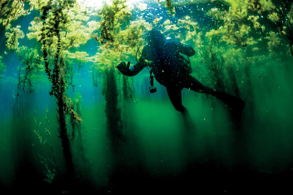 Büyük Menderes, Yaşamın Kaynağı

