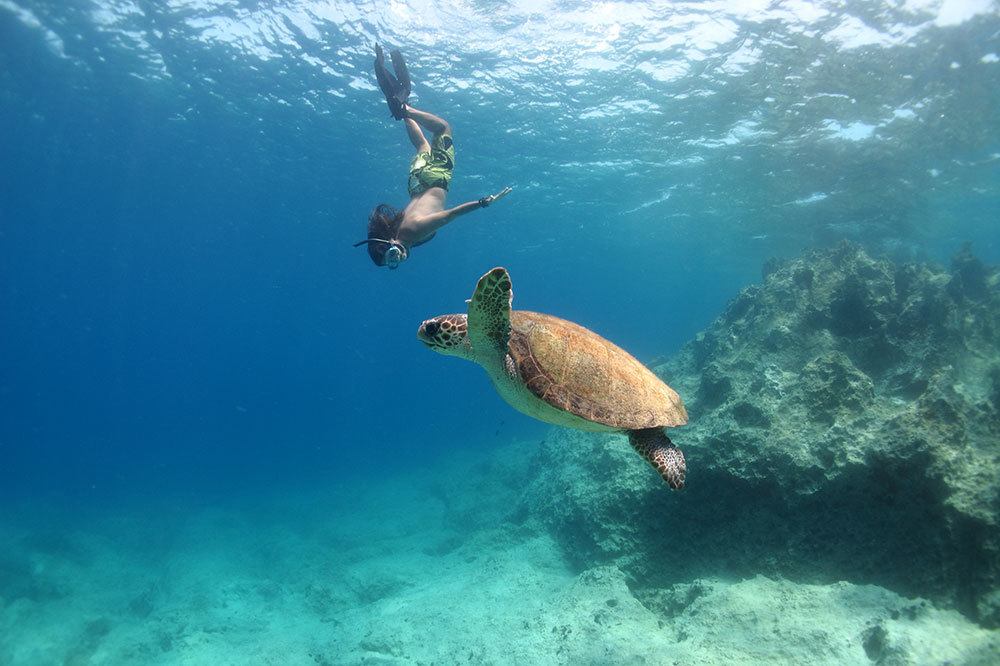 Caretta Caretta’lardan Güzel Haber Var