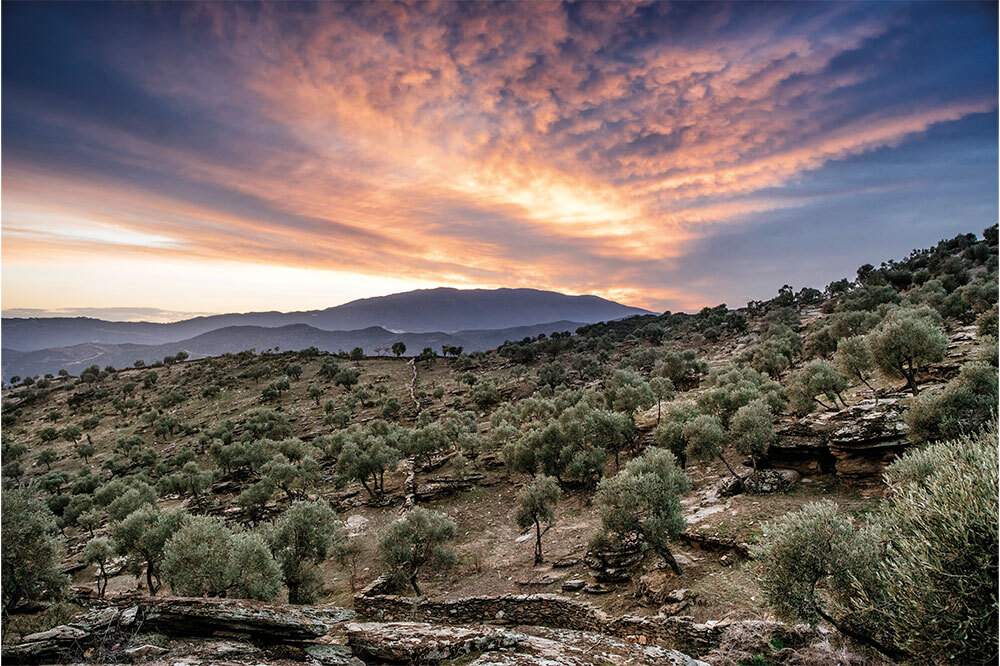 Cehenneme Giden Son Virajdayız
