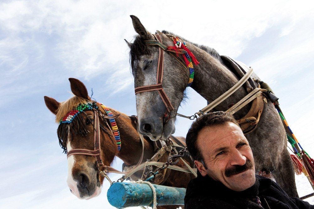 Çıldır'ın Atları