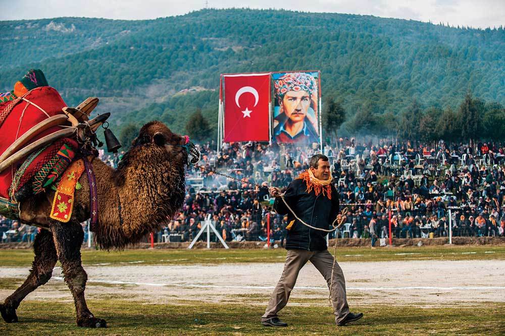 Deve Güreşi İnat ve Sabrın Sınavı