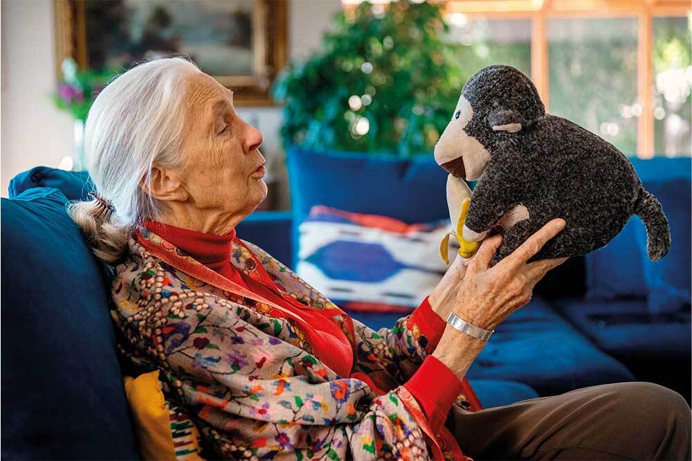 Dr. Jane Goodall: Ormanın Bilgesi
