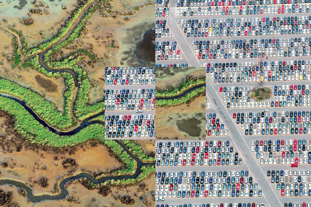 Erkekler Zamanının Ülkesi Türkiye