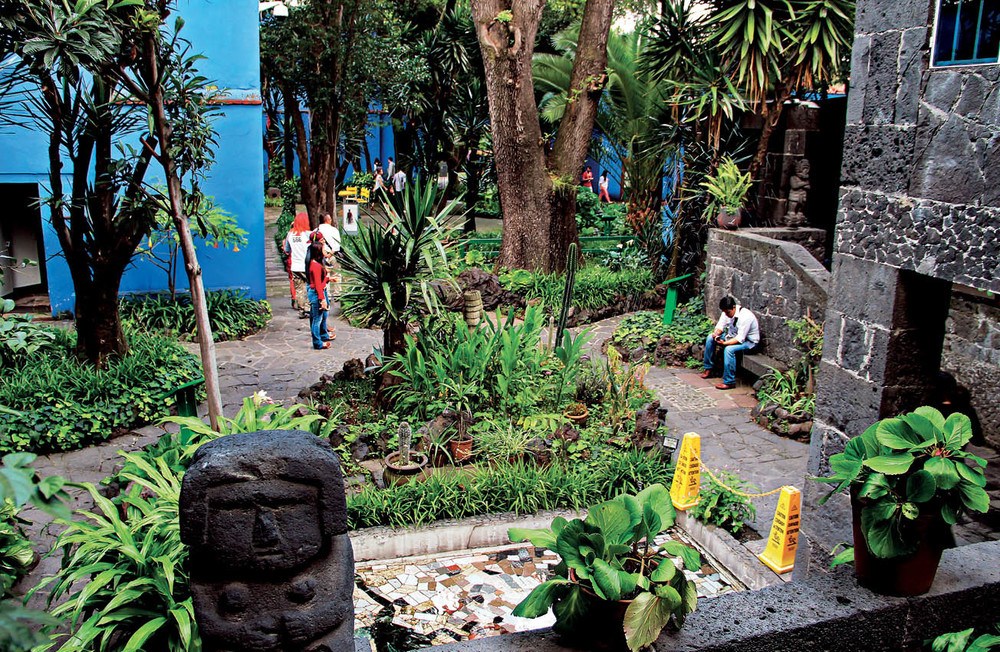 Frida Kahlo, Mavi Ev’deki Devrimci