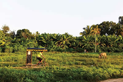 Sen Sevdiğim Bir Dünyaya Aitsin: Gabriel García Márquez ve Yalnızlıklar Kıtası 12g1