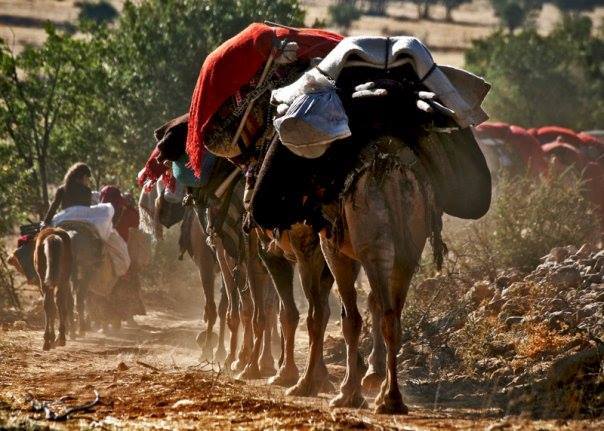 Gerçeği Yok Olurken, Sahtesine Milyonlar Harcanıyor