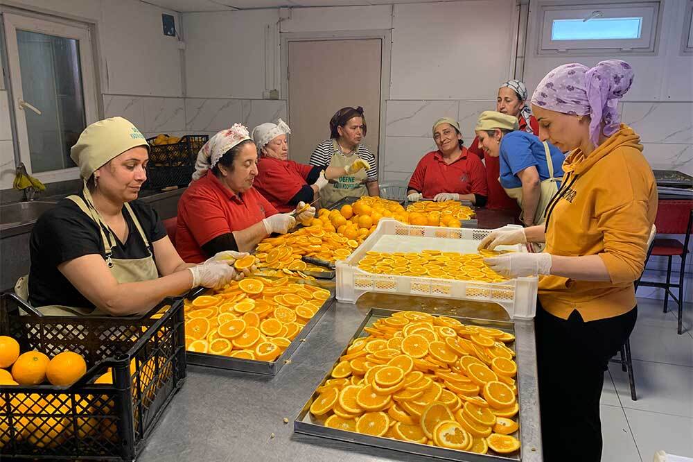 Hatay Çiftçisi Toprağına Sahip Çıkıyor