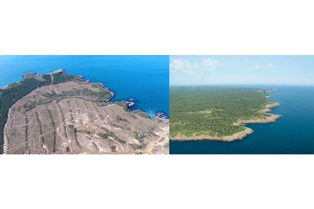 İkinci Nükleer Santral Yolda Mı?