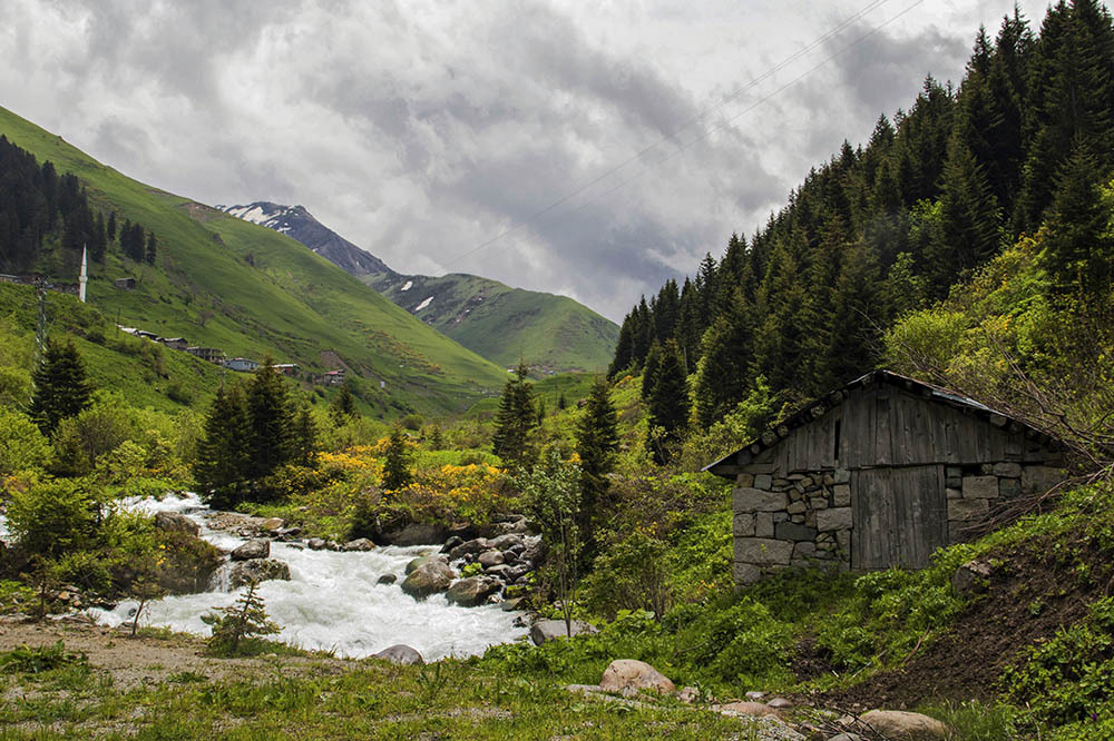 İkizdere/Rize: Dağhorozunun Evinde