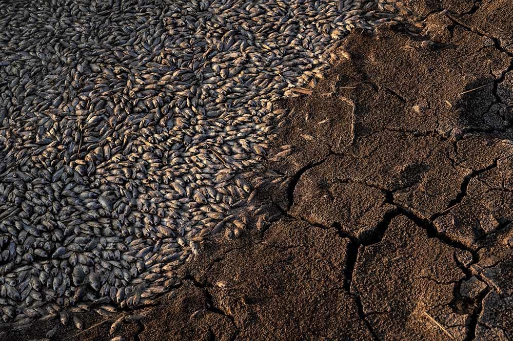 Ilısu Barajı: Dicle’nin Yaşam Mücadelesi