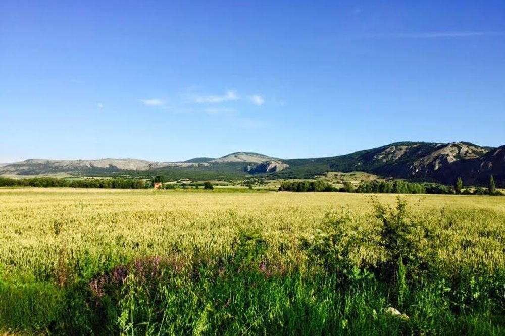 İnönü’de Çimento Fabrikası İstemiyoruz 