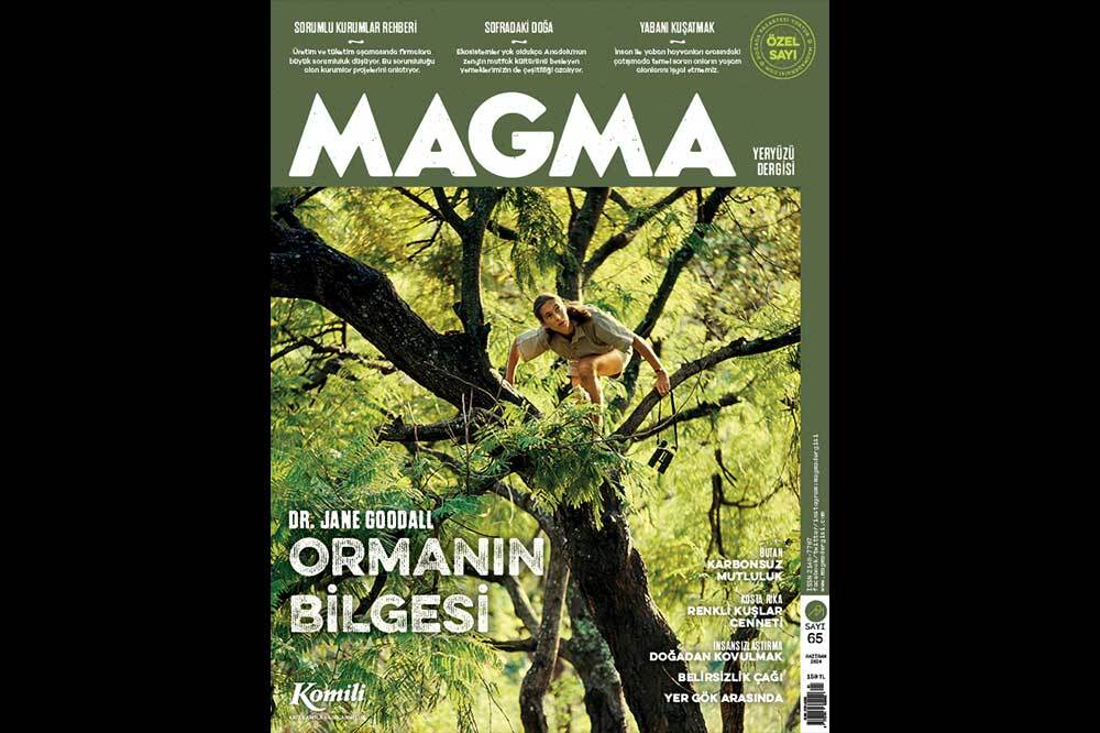 İnsan Egemenliğini Sarsmak