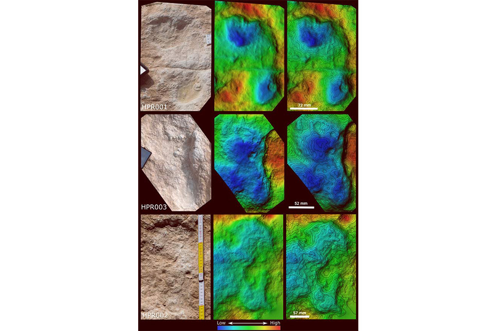 İnsanın 120.000 Yıllık Ayak İzi
