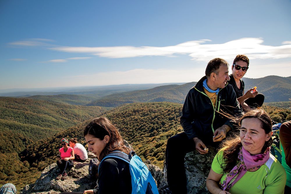 Istrancalar: Son Ormanda Buluşmak