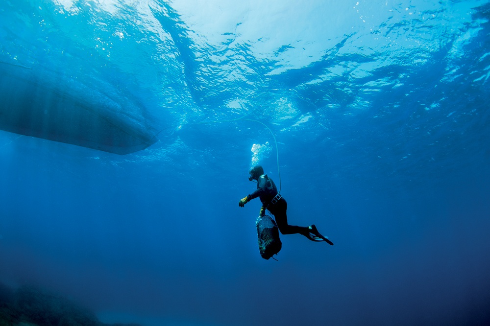 Kalimnos Adası: Son Süngerciler
