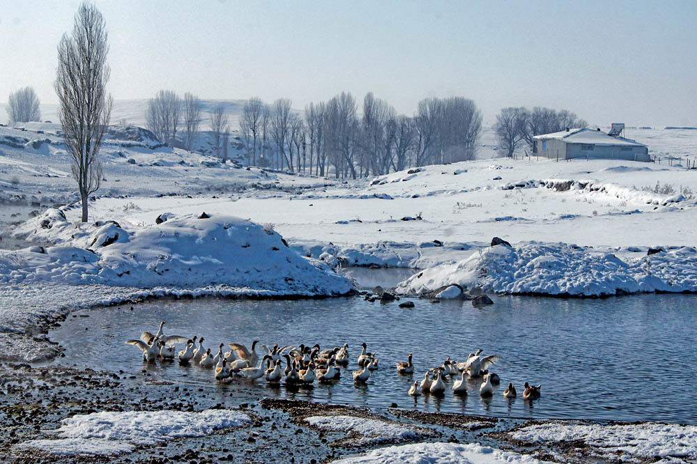 Kars / Oğuzlu Köyü Kilisesi: Bin Yıllık Anı