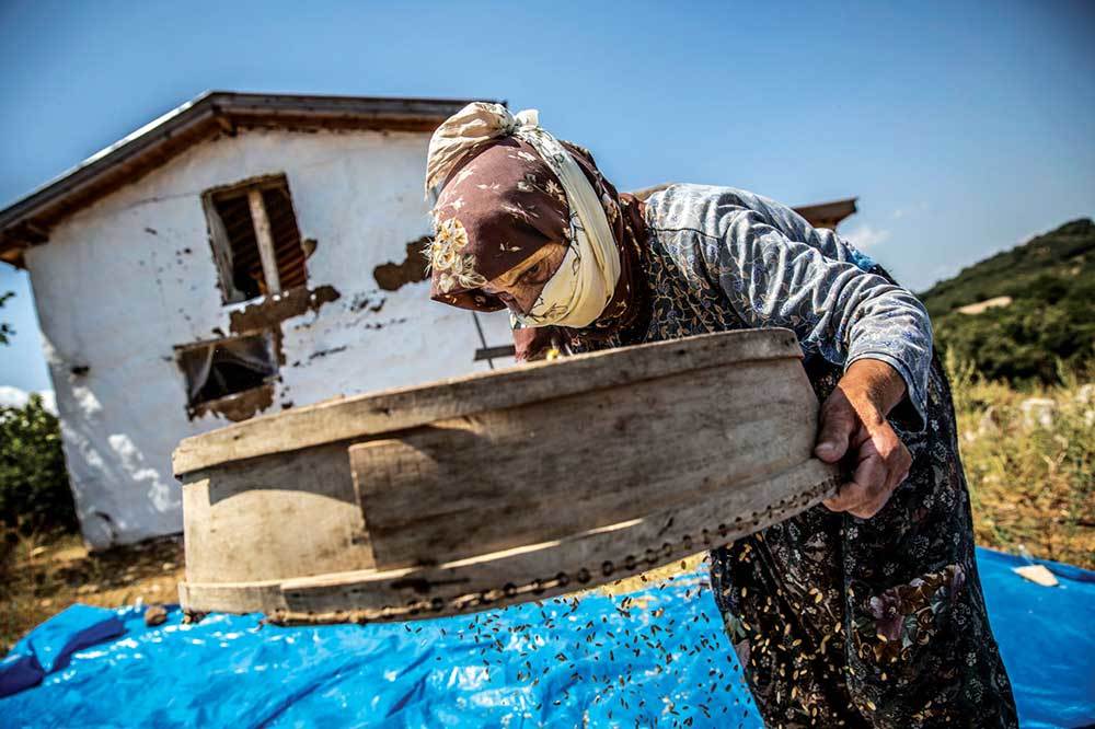 Kaz Dağları Sarıkız Ana'nın Yurdu
