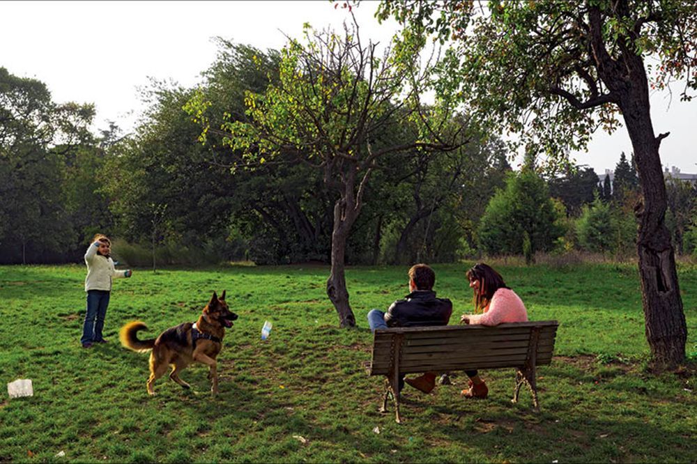 Kelebekler, Kuşlar ve Validebağ