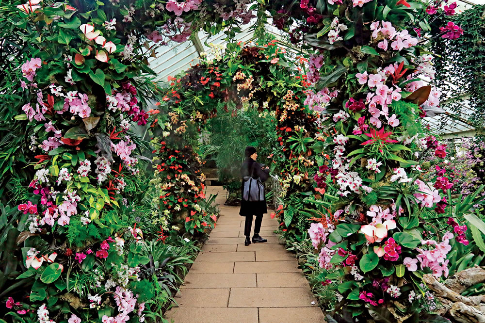 Kew Botanik Bahçeleri, Doğal Sığınak