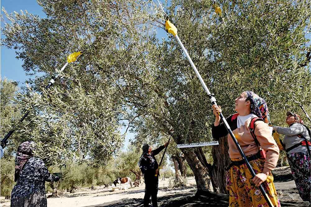 Kuşaklar Boyu Yaşasın Diye