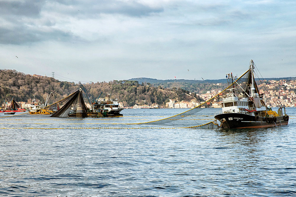 Marmara, Özel Çevre Koruma Bölgesi İlan Edildi