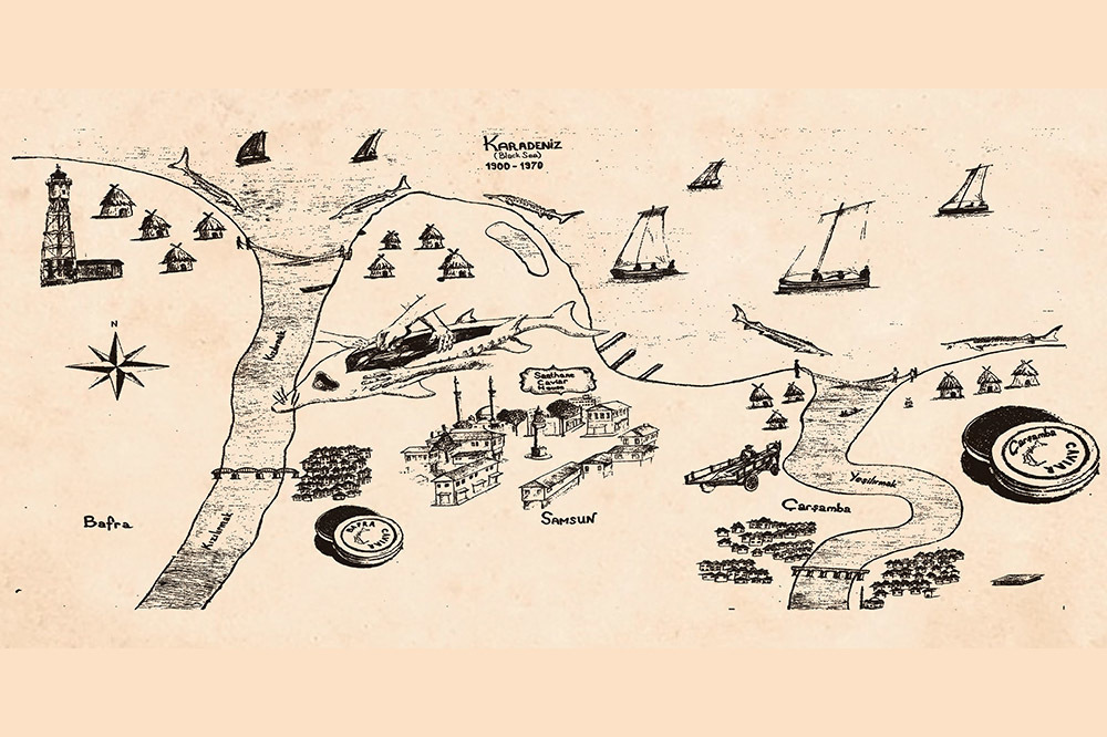 Mersinbalığı: Bir Varmış Bir Yokmuş