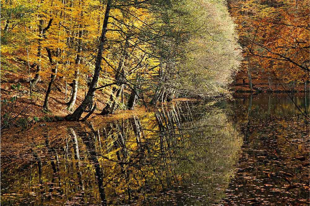 Milli Parklar Yasası Değişikliği Genel Kurul’da