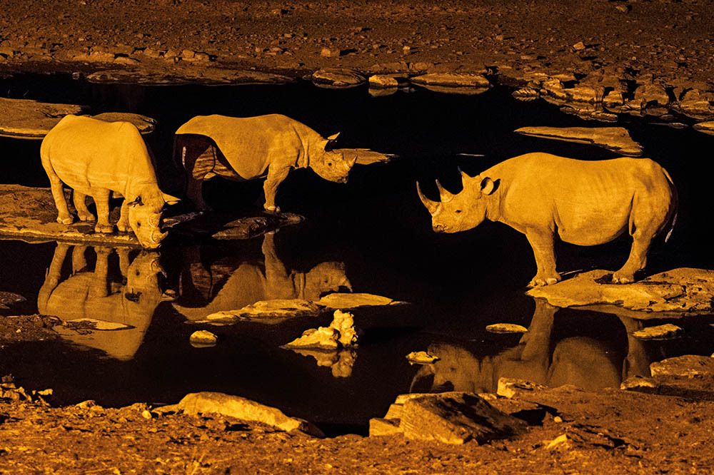 Namibya Belgeseline Ödül