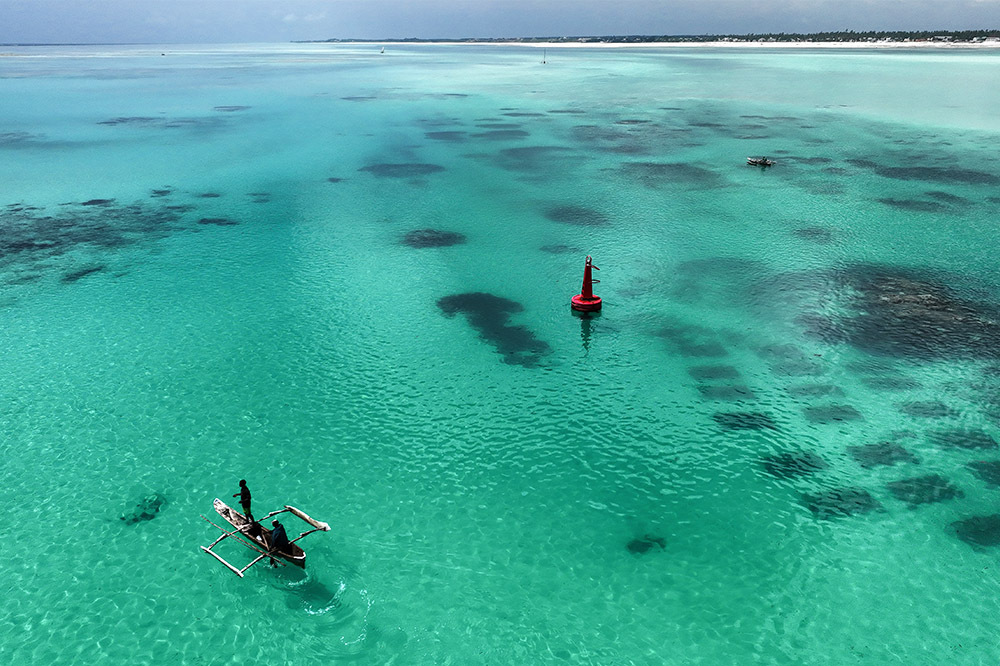 Okyanuslar, Denizler ve Kıyılar: Umudu Korumak