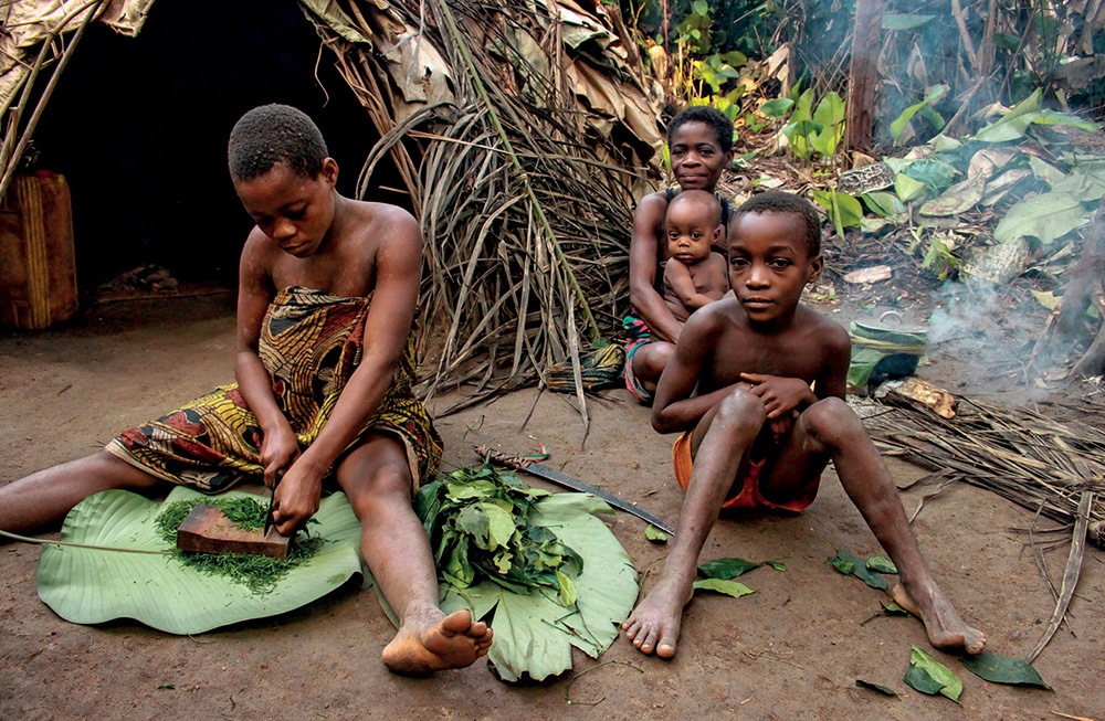 Ormanda İlaç Aramak