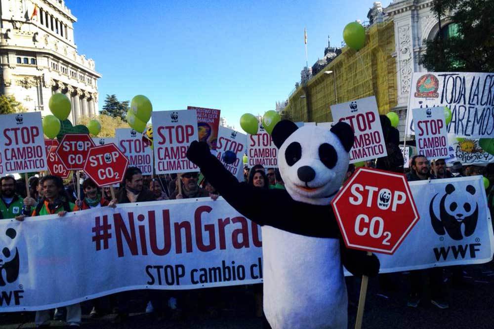 Paris’teki İklim Müzakerelerinde Türkiye’yi Ne Bekliyor?