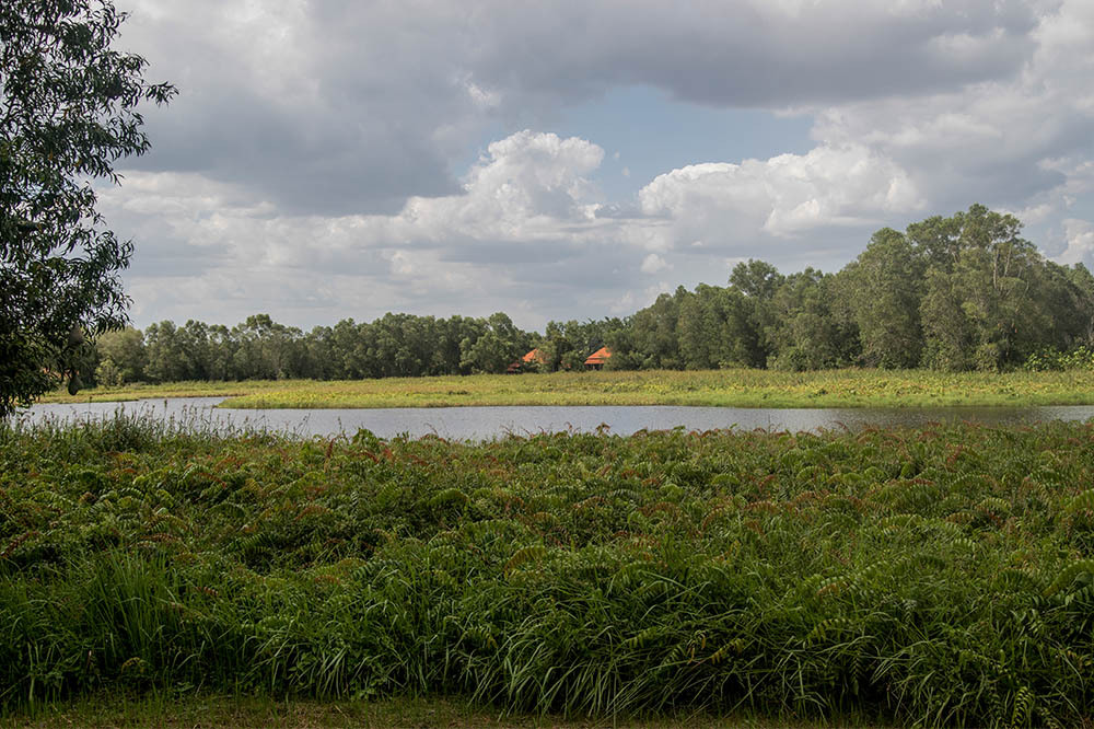 Paya Indah/Malezya: Madenden Sonra