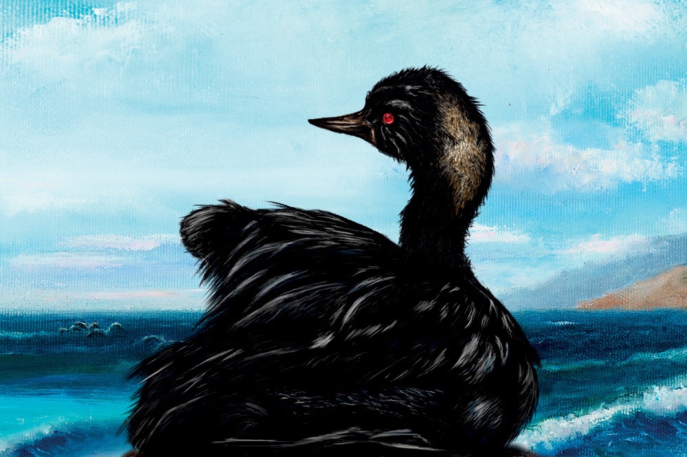 Petrol Doğa İçin Nasıl Felaket?