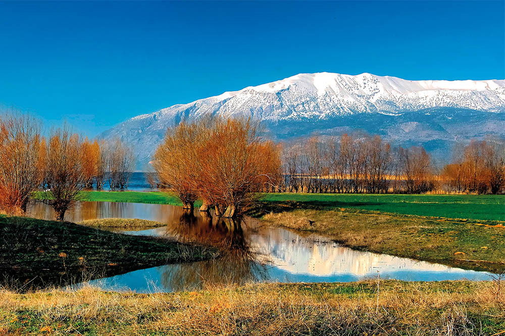 Restorasyon On Yılı: Ekosistemi Yaşat