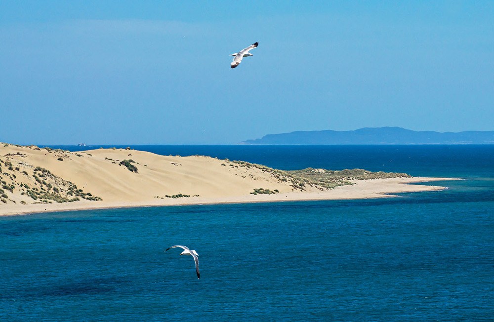 Rüzgârın Krallığı Gökçeada