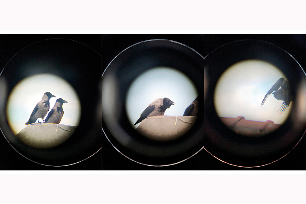 Salgın Günlerinde Fotoğraf